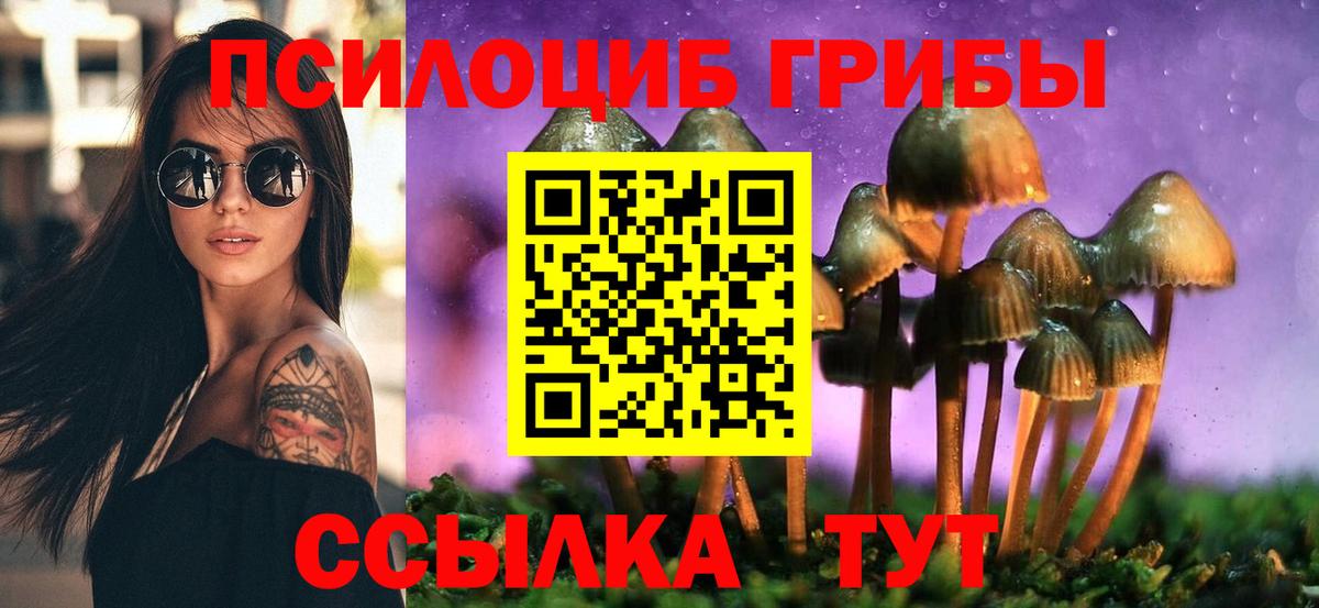 Галлюциногенные грибы мухоморы Петрозаводск