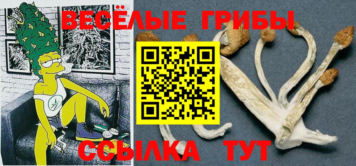 Псилоцибиновые грибы Cubensis  Вход с VPN  Петрозаводск  Псилоцибиновые грибы GOLDEN TEACHER 